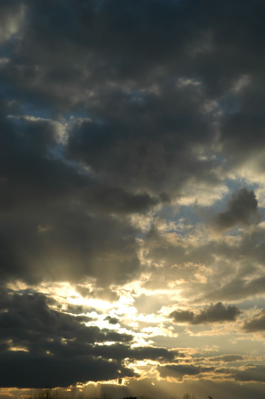 DSC_0013