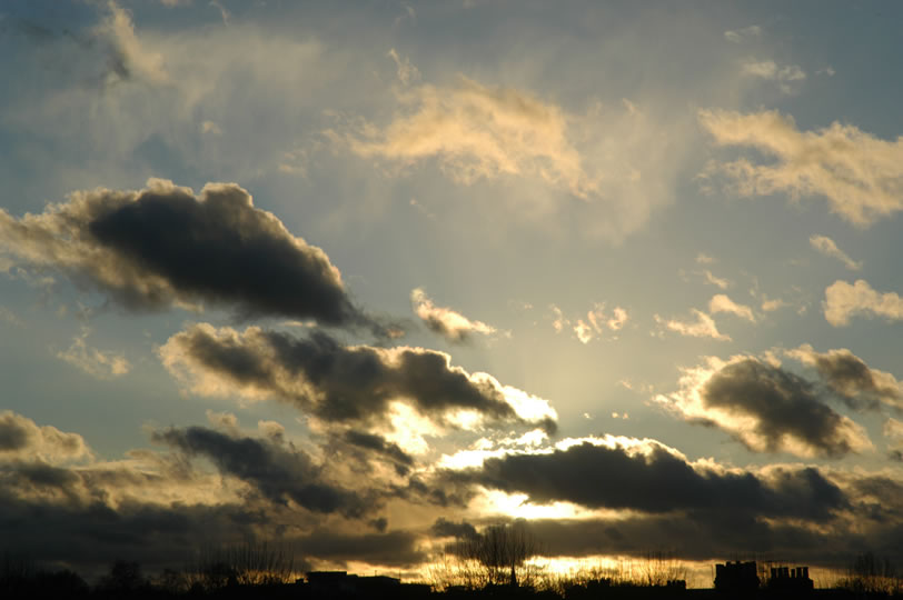 DSC_0014