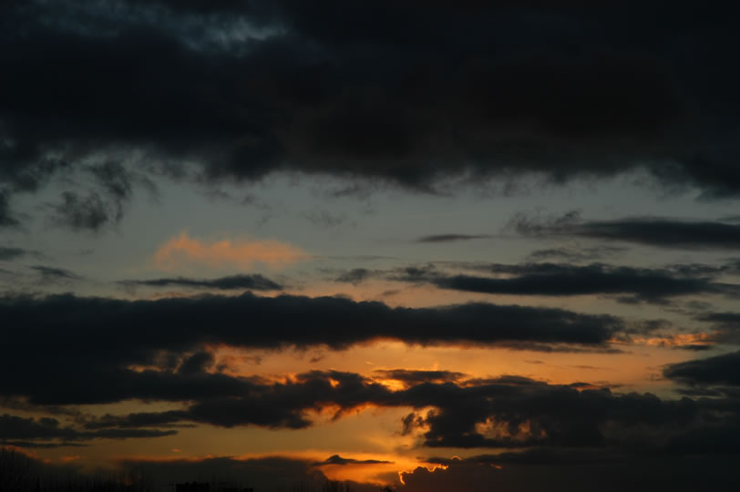 DSC_0016