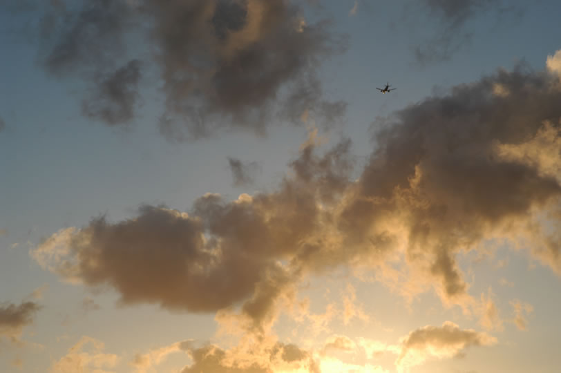 DSC_0024