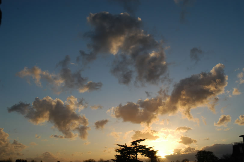 DSC_0030
