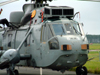 Sea King