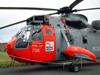 Another Sea King