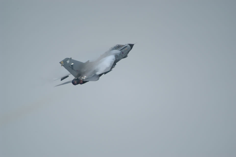 DSC_0096