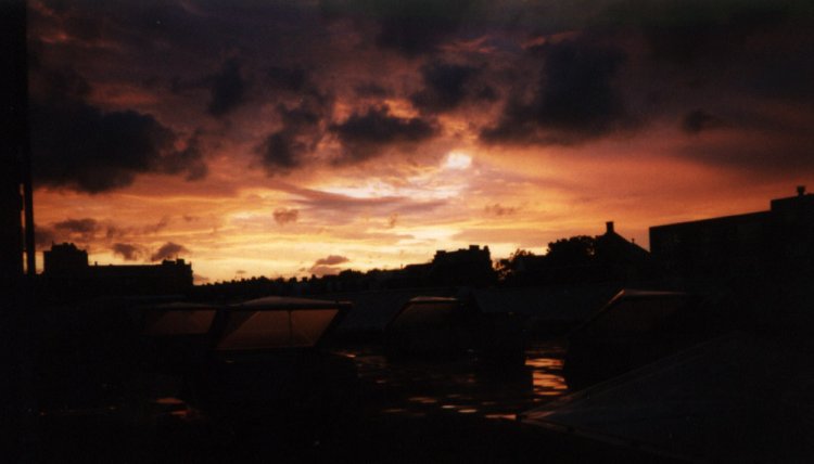 Rotterdam Sunset